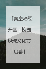 秦皇岛经开区：校园足球文化节启幕