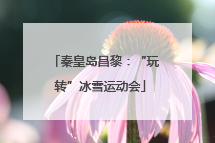 秦皇岛昌黎：“玩转”冰雪运动会