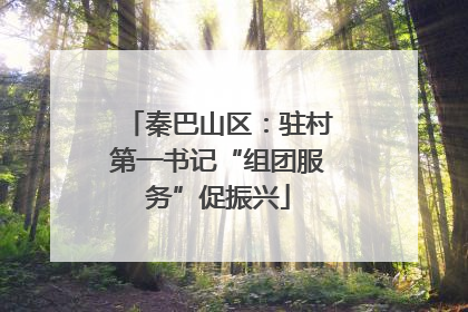 秦巴山区：驻村第一书记“组团服务”促振兴