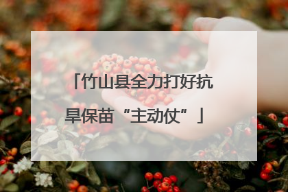 竹山县全力打好抗旱保苗“主动仗”