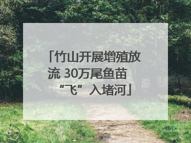 竹山开展增殖放流 30万尾鱼苗“飞”入堵河
