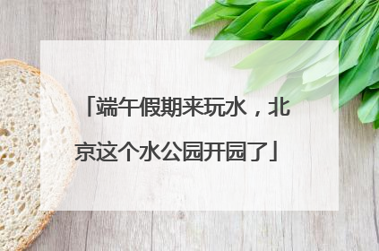 端午假期来玩水，北京这个水公园开园了