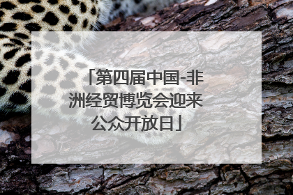 第四届中国-非洲经贸博览会迎来公众开放日