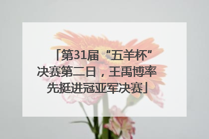 第31届“五羊杯”决赛第二日，王禹博率先挺进冠亚军决赛
