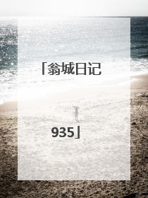 翁城日记 935