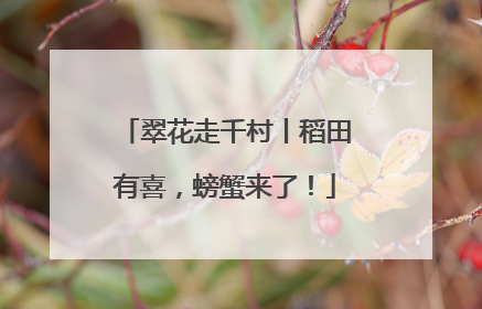 翠花走千村丨稻田有喜，螃蟹来了！