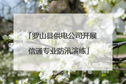 罗山县供电公司开展信通专业防汛演练