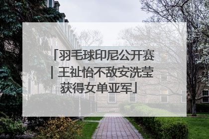 羽毛球印尼公开赛｜王祉怡不敌安洗莹 获得女单亚军