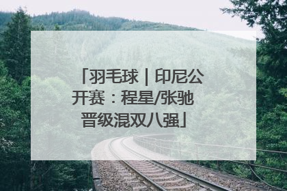 羽毛球｜印尼公开赛：程星/张驰晋级混双八强