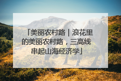 美丽农村路｜浪花里的美丽农村路，三高线串起山海经济学