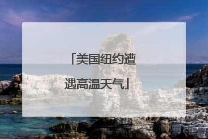 美国纽约遭遇高温天气
