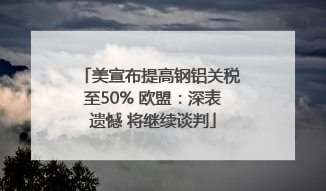 美宣布提高钢铝关税至50% 欧盟：深表遗憾 将继续谈判