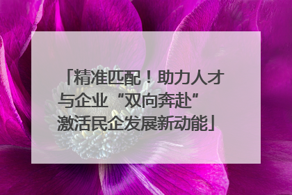 精准匹配！助力人才与企业“双向奔赴” 激活民企发展新动能