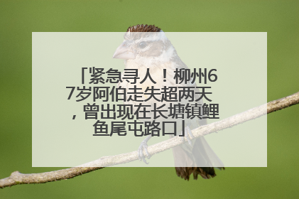紧急寻人！柳州67岁阿伯走失超两天，曾出现在长塘镇鲤鱼尾屯路口