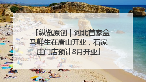 纵览原创｜河北首家盒马鲜生在唐山开业，石家庄门店预计8月开业