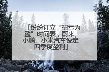 纷纷订立“扭亏为盈”时间表，蔚来、小鹏、小米汽车设定四季度盈利