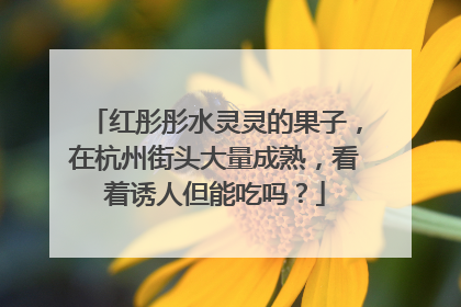 红彤彤水灵灵的果子，在杭州街头大量成熟，看着诱人但能吃吗？