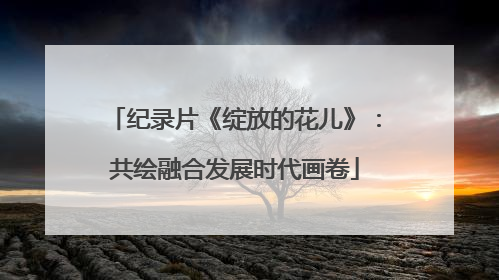 纪录片《绽放的花儿》：共绘融合发展时代画卷