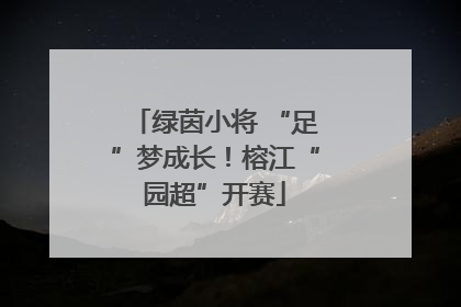 绿茵小将 “足”梦成长！榕江“园超”开赛