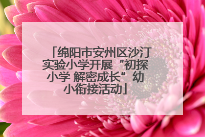 绵阳市安州区沙汀实验小学开展“初探小学 解密成长”幼小衔接活动