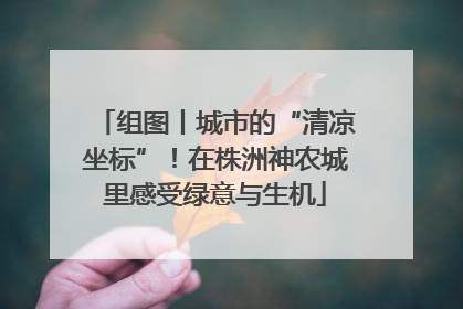 组图丨城市的“清凉坐标”！在株洲神农城里感受绿意与生机