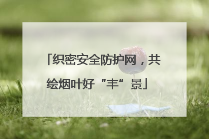 织密安全防护网，共绘烟叶好“丰”景
