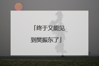 终于又能见到樊振东了