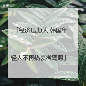 经济压力大 韩国年轻人不再热衷考驾照
