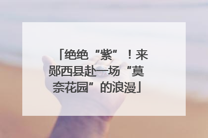 绝绝“紫”！来郧西县赴一场“莫奈花园”的浪漫