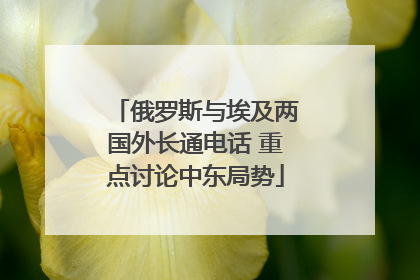 俄罗斯与埃及两国外长通电话 重点讨论中东局势