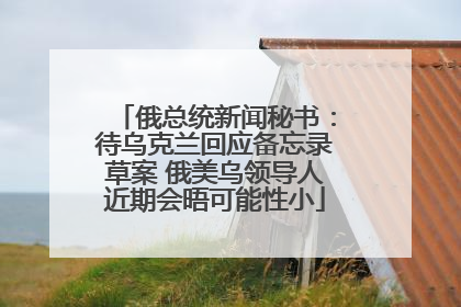 俄总统新闻秘书：待乌克兰回应备忘录草案 俄美乌领导人近期会晤可能性小