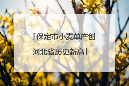 保定市小麦单产创河北省历史新高