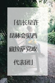 信长星许昆林会见西藏拉萨党政代表团