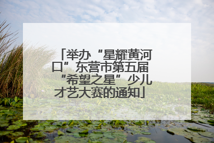 举办“星耀黄河口”东营市第五届“希望之星”少儿才艺大赛的通知