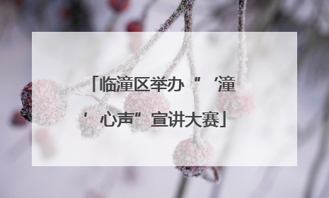 临潼区举办“‘潼’心声”宣讲大赛