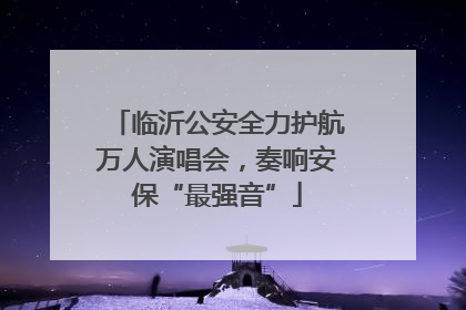 临沂公安全力护航万人演唱会，奏响安保“最强音”