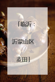 临沂：沂蒙山区麦田