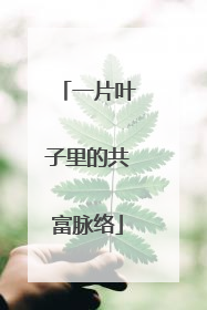 一片叶子里的共富脉络