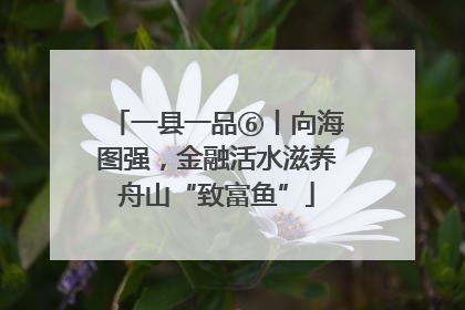 一县一品⑥丨向海图强，金融活水滋养舟山“致富鱼”