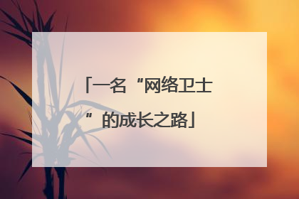一名“网络卫士”的成长之路