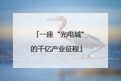 一座“光电城”的千亿产业征程