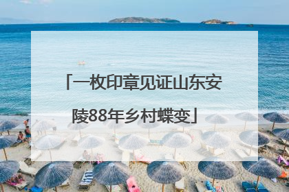 一枚印章见证山东安陵88年乡村蝶变