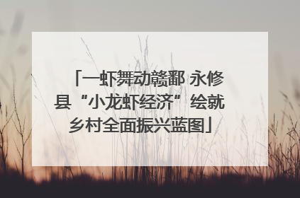 一虾舞动赣鄱 永修县“小龙虾经济”绘就乡村全面振兴蓝图