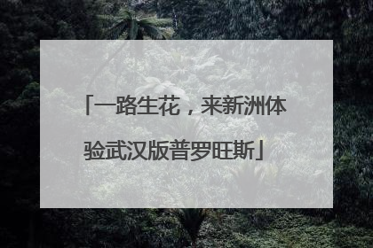 一路生花，来新洲体验武汉版普罗旺斯