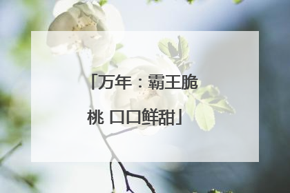 万年：霸王脆桃 口口鲜甜