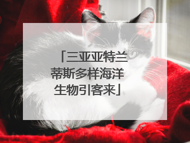 三亚亚特兰蒂斯多样海洋生物引客来