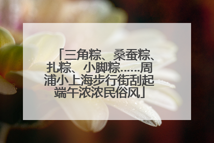 三角粽、桑蚕粽、扎粽、小脚粽……周浦小上海步行街刮起端午浓浓民俗风