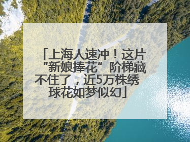上海人速冲！这片“新娘捧花”阶梯藏不住了，近5万株绣球花如梦似幻