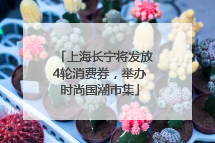 上海长宁将发放4轮消费券，举办时尚国潮市集