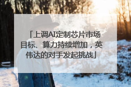 上调AI定制芯片市场目标、算力持续增加，英伟达的对手发起挑战